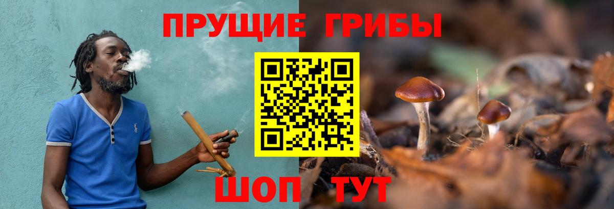 Лесосибирск  Псилоцибиновые грибы Psilocybine cubensis  Галлюциногенные грибы прущие грибы  Вход с VPN 